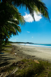 Scenic view of beach against blue sky