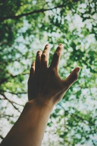 Cropped image of person hand against tree