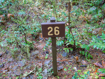 Information sign on tree in forest