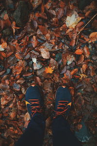 Low section of person standing on dry autumn leaves