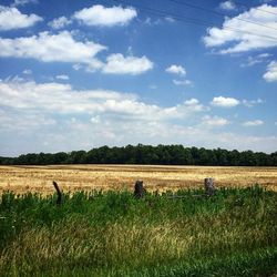 Scenic view of field against cloudy sky