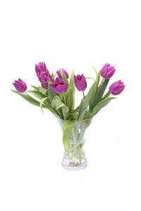 Close-up of pink flower vase against white background