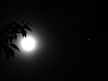 Low angle view of silhouette tree against sky at night