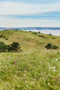 Scenic view of sea against cloudy sky