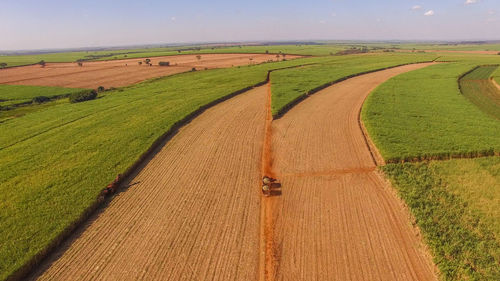 Scenic view of agricultural field