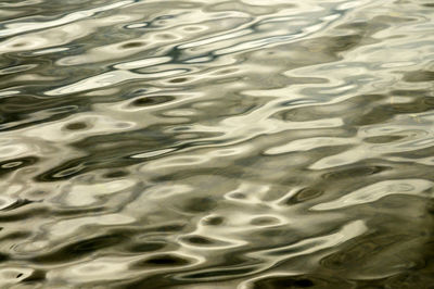 Full frame shot of water drops on white background