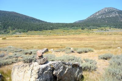 Open field on backroad near s. lake tahoe