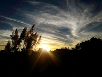 Silhouette trees against sky during sunset