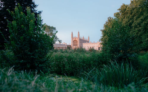 Trees in park against sky