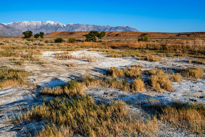 Scenic view of field against sky during winter