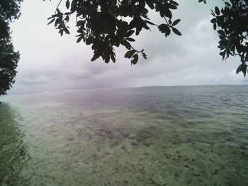 Scenic view of sea against sky