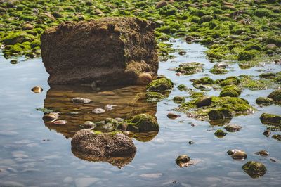 High angle view of rocks in lake