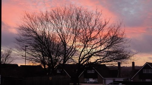 Silhouette bare tree and buildings against sky at sunset