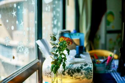 Close-up of potted plant on glass window