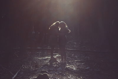 People standing in forest at night