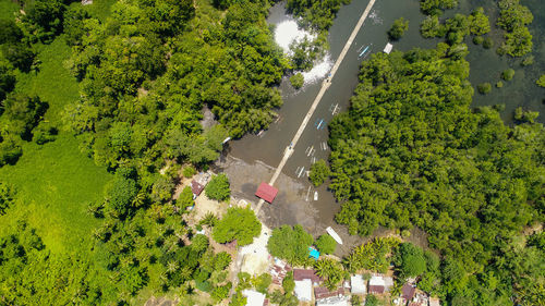 High angle view of road amidst plants and trees in city.