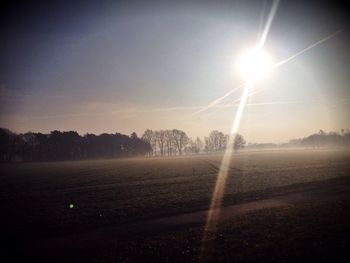 Sun shining through trees on field