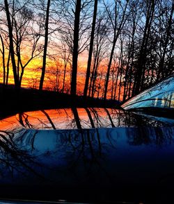 Reflection of bare trees in water at sunset