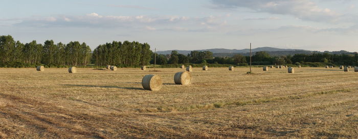 Hay bales on field against sky