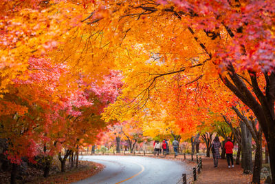 People walking on road during autumn