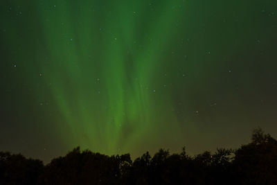 Low angle view of silhouette trees against sky at night