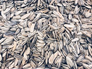 Sunflower seeds background