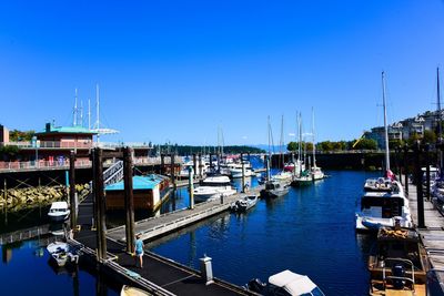 Boats moored at harbor against clear blue sky