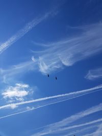 Low angle view of birds flying against blue sky