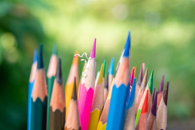 Close-up of colored pencils