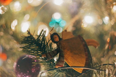 Close-up of illuminated christmas lights