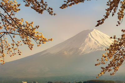 Scenic view of snowcapped mountains against sky during sunset