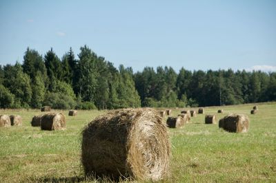 Hay bales on field against sky