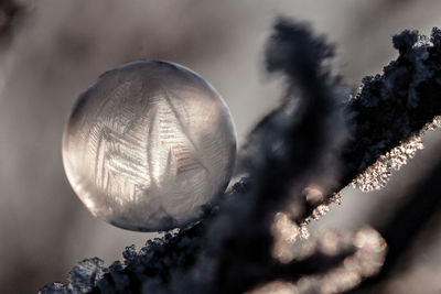 Extreme close up of a frozen drop