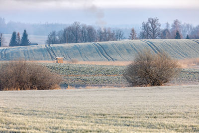 Scenic view of field against sky during winter