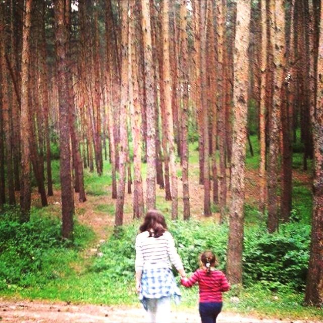 tree, lifestyles, leisure activity, casual clothing, rear view, forest, full length, person, men, tree trunk, standing, nature, tranquility, growth, tourist, childhood, three quarter length