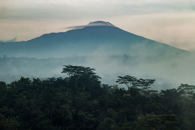 The view of mount slamet in the morning