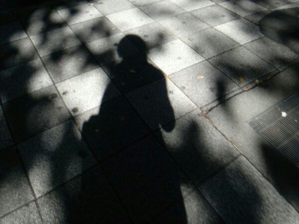 shadow, high angle view, focus on shadow, tiled floor, paving stone, sunlight, street, sidewalk, footpath, flooring, walking, low section, lifestyles, men, cobblestone, unrecognizable person, pavement, silhouette