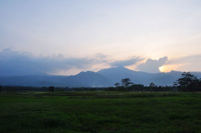 Scenic view of field against sky during sunset