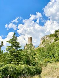 Low angle view of trees against cloudy sky
