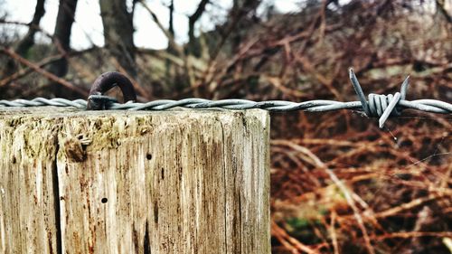 Close-up of wooden fence on grassy field