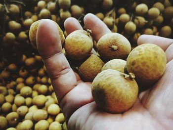 Close-up of hand holding fruits