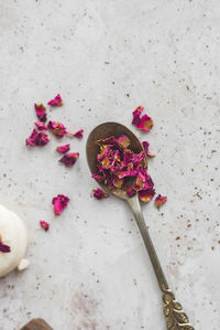 Close-up of pink rose on table