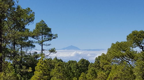 Scenic view of tree mountains against clear blue sky