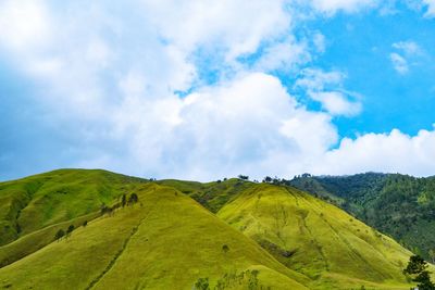 Scenic view of landscape against sky