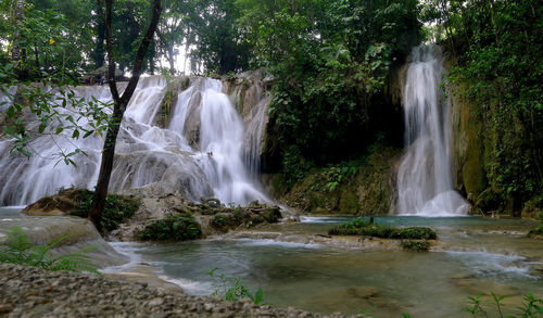 Scenic view of waterfall in forest