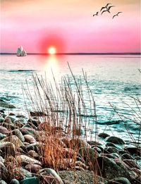 Scenic view of sea against sky during sunset