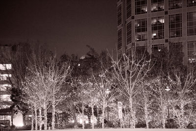 Built structure with trees in background