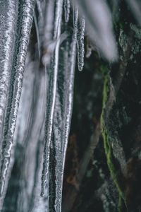 Close-up of frozen water