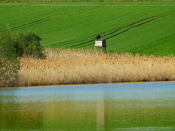 Scenic view of agricultural field