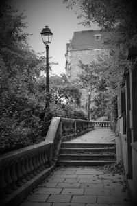 Steps amidst trees against sky